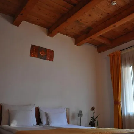 Sara/adult Only Guest house Sovata